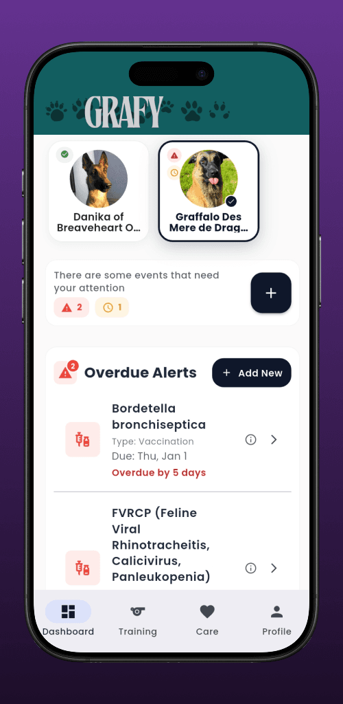 Grafy App Dashboard